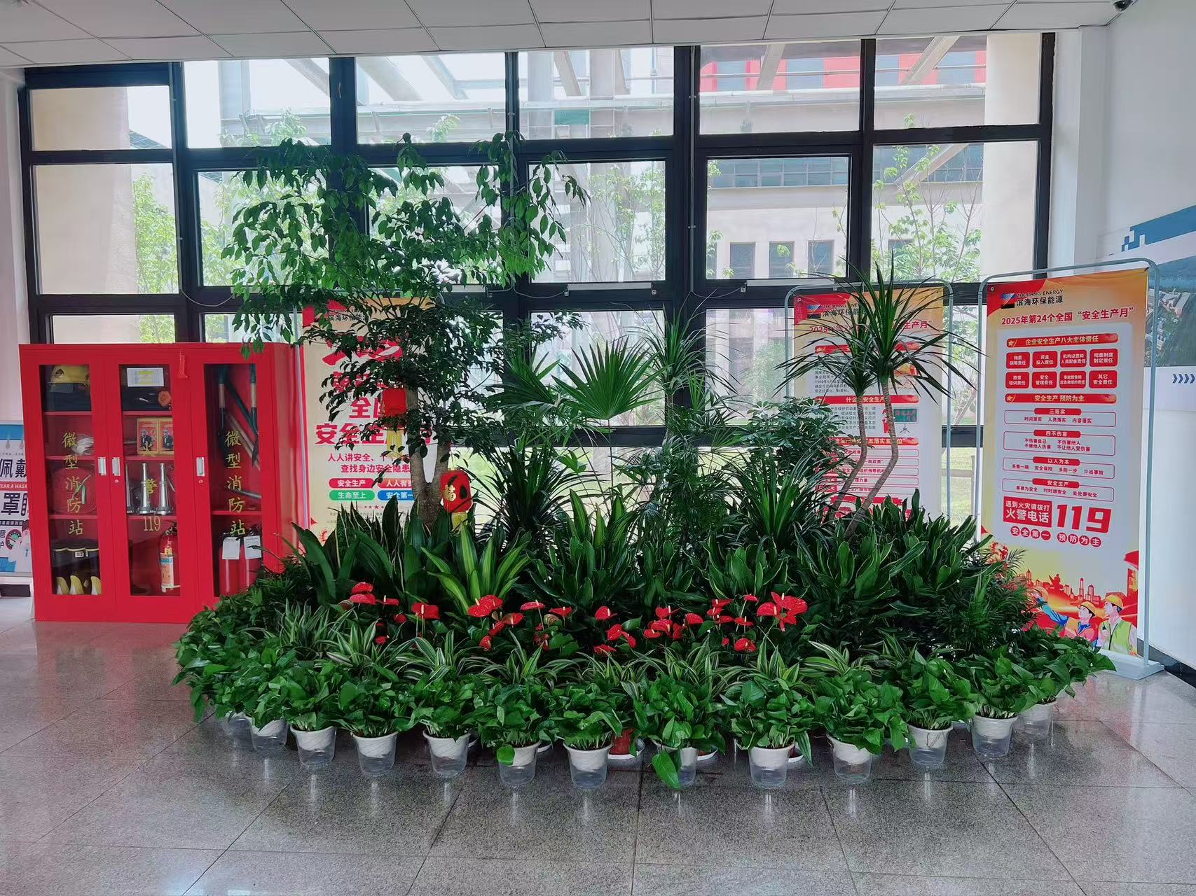 超值福利！北仑绿化养护，价格亲民超划算！